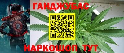 кокаин колумбия Гатчина