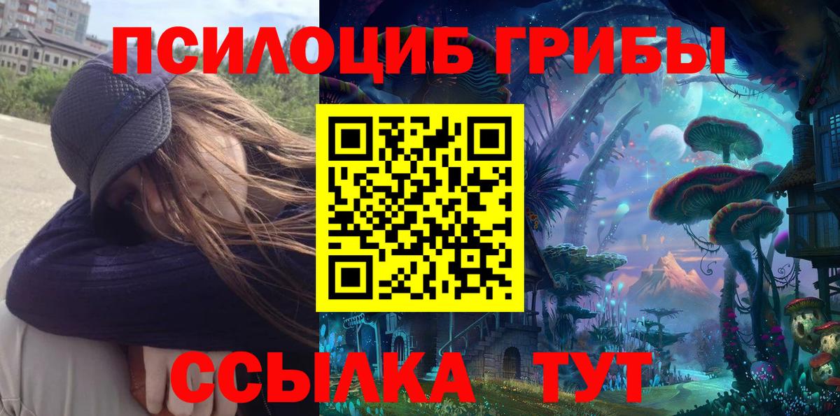 Псилоцибиновые грибы мицелий Стрежевой